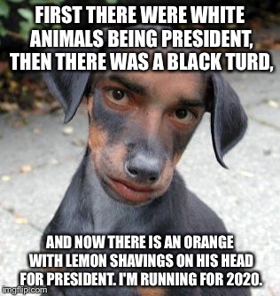 Dog Human | FIRST THERE WERE WHITE ANIMALS BEING PRESIDENT, THEN THERE WAS A BLACK TURD, AND NOW THERE IS AN ORANGE WITH LEMON SHAVINGS ON HIS HEAD FOR PRESIDENT. I'M RUNNING FOR 2020. | image tagged in dog human | made w/ Imgflip meme maker