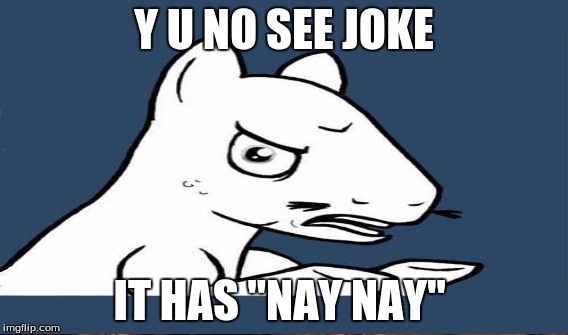 Y U NO SEE JOKE IT HAS "NAY NAY" | made w/ Imgflip meme maker