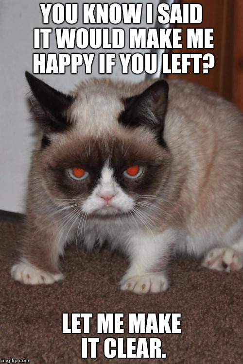 Grumpy Cat red eyes | YOU KNOW I SAID IT WOULD MAKE ME HAPPY IF YOU LEFT? LET ME MAKE IT CLEAR. | image tagged in grumpy cat red eyes | made w/ Imgflip meme maker