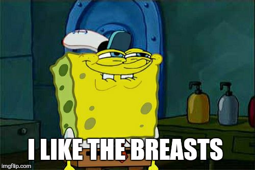 Don't You Squidward Meme | I LIKE THE BREASTS | image tagged in memes,dont you squidward | made w/ Imgflip meme maker