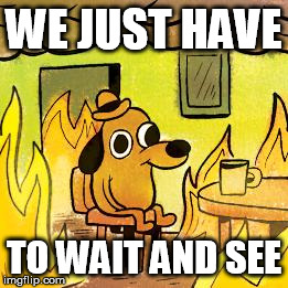 Dog in burning house | WE JUST HAVE; TO WAIT AND SEE | image tagged in dog in burning house | made w/ Imgflip meme maker