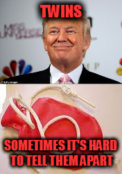 Twins | TWINS; SOMETIMES IT'S HARD TO TELL THEM APART | image tagged in twins,trump,douchebag | made w/ Imgflip meme maker