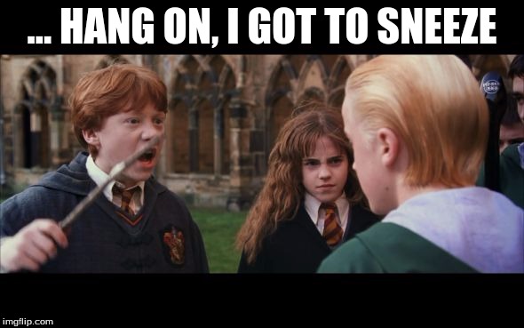 Ron Weasley eat slugs | ... HANG ON, I GOT TO SNEEZE | image tagged in ron weasley eat slugs | made w/ Imgflip meme maker