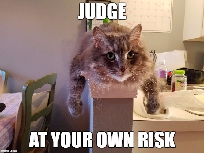 Boochie | JUDGE; AT YOUR OWN RISK | image tagged in boochie | made w/ Imgflip meme maker