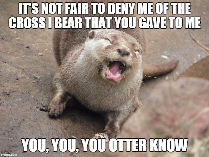 IT'S NOT FAIR TO DENY ME
OF THE CROSS I BEAR THAT YOU GAVE TO ME; YOU, YOU, YOU OTTER KNOW | image tagged in angry otter | made w/ Imgflip meme maker
