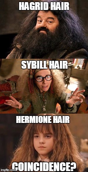 I think the "muggle parents" thing was just a cover. | HAGRID HAIR; SYBILL HAIR; HERMIONE HAIR; COINCIDENCE? | image tagged in harry potter,hagrid,hermione granger | made w/ Imgflip meme maker