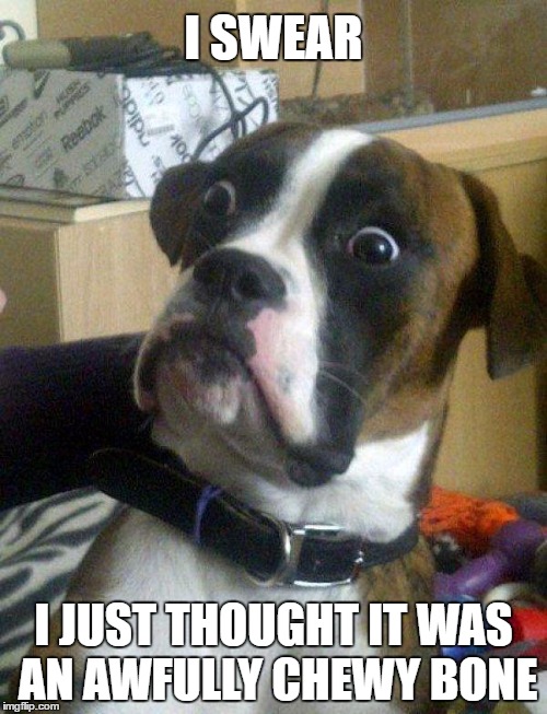Blankie the Shocked Dog's chewy indiscretion | I SWEAR; I JUST THOUGHT IT WAS AN AWFULLY CHEWY BONE | image tagged in blankie the shocked dog,memes,funny memes,dog memes | made w/ Imgflip meme maker