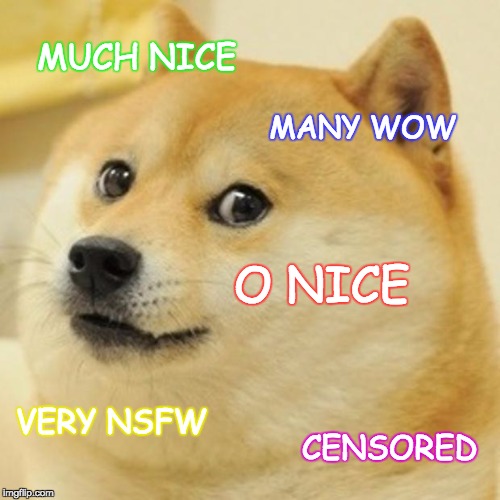 Doge | MUCH NICE; MANY WOW; O NICE; VERY NSFW; CENSORED | image tagged in memes,doge | made w/ Imgflip meme maker