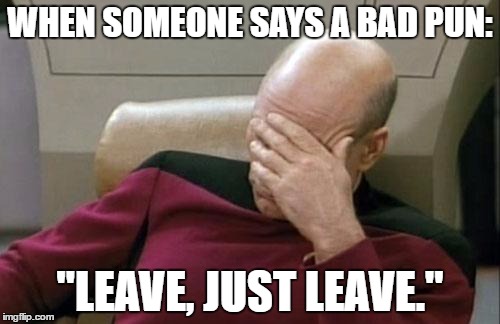 Captain Picard Facepalm Meme | WHEN SOMEONE SAYS A BAD PUN:; "LEAVE, JUST LEAVE." | image tagged in memes,captain picard facepalm | made w/ Imgflip meme maker