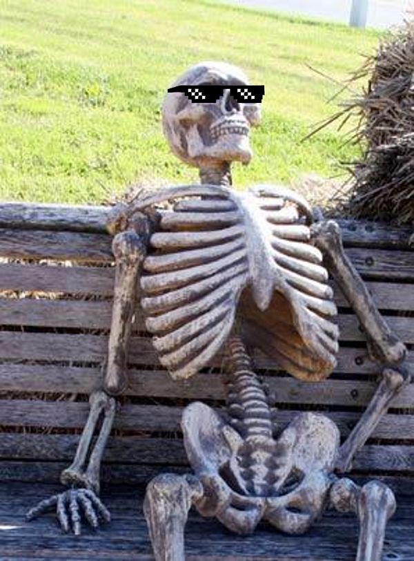 Deal with it Waiting Skeleton Blank Meme Template