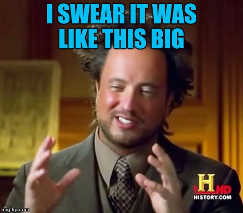 Ancient Aliens | I SWEAR IT WAS LIKE THIS BIG | image tagged in memes,ancient aliens | made w/ Imgflip meme maker