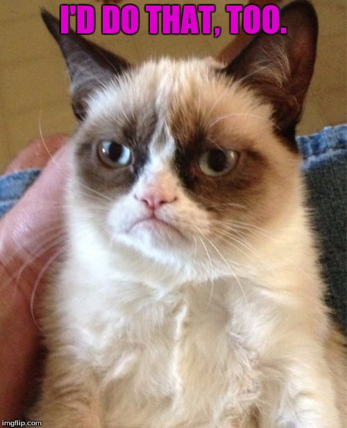 Grumpy Cat Meme | I'D DO THAT, TOO. | image tagged in memes,grumpy cat | made w/ Imgflip meme maker