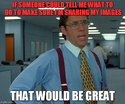 seriously, why do I keep getting that message | IF SOMEONE COULD TELL ME WHAT TO DO TO MAKE SURE I'M SHARING MY IMAGES; THAT WOULD BE GREAT | image tagged in memes,that would be great,help me | made w/ Imgflip meme maker
