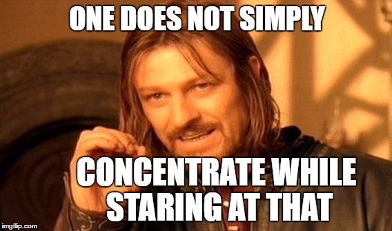 One Does Not Simply Meme | ONE DOES NOT SIMPLY CONCENTRATE WHILE STARING AT THAT | image tagged in memes,one does not simply | made w/ Imgflip meme maker
