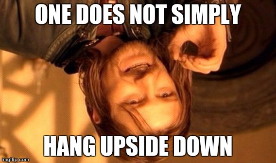 One Does Not Simply Meme | ONE DOES NOT SIMPLY HANG UPSIDE DOWN | image tagged in memes,one does not simply | made w/ Imgflip meme maker