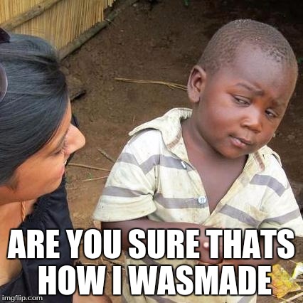 Third World Skeptical Kid Meme | ARE YOU SURE THATS HOW I WASMADE | image tagged in memes,third world skeptical kid | made w/ Imgflip meme maker