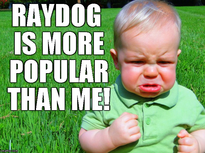 toddler pouting | RAYDOG IS MORE POPULAR THAN ME! | image tagged in toddler pouting | made w/ Imgflip meme maker