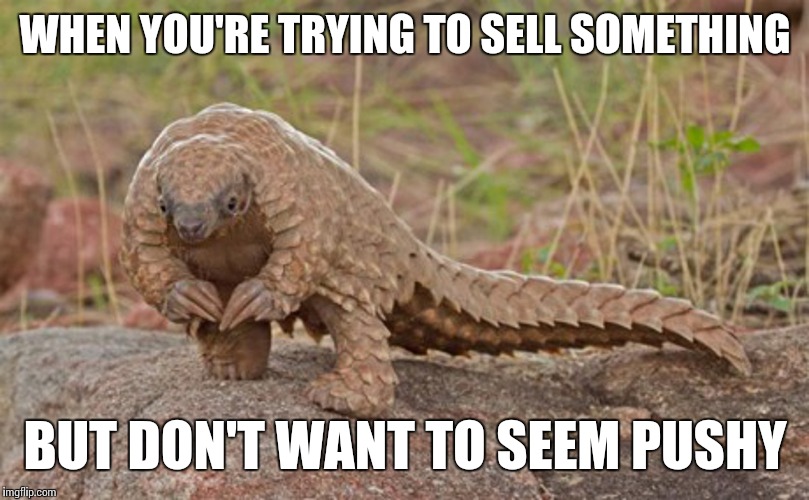 Excuse me, sir. Would you like to buy some items? | WHEN YOU'RE TRYING TO SELL SOMETHING; BUT DON'T WANT TO SEEM PUSHY | image tagged in pangolin,memes | made w/ Imgflip meme maker