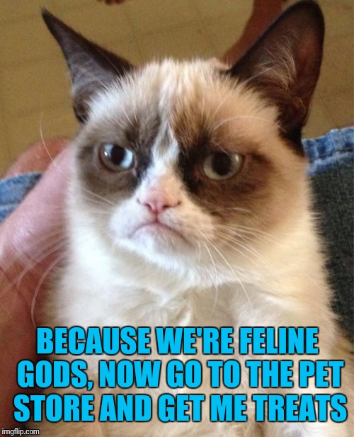 Grumpy Cat Meme | BECAUSE WE'RE FELINE GODS, NOW GO TO THE PET STORE AND GET ME TREATS | image tagged in memes,grumpy cat | made w/ Imgflip meme maker