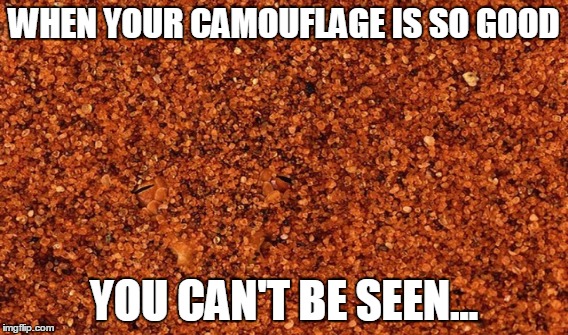 WHEN YOUR CAMOUFLAGE IS SO GOOD; YOU CAN'T BE SEEN... | image tagged in camouflage | made w/ Imgflip meme maker