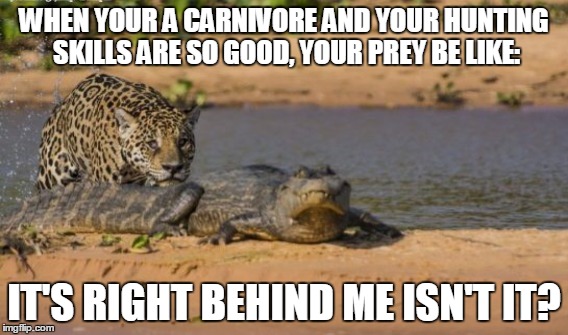 WHEN YOUR A CARNIVORE AND YOUR HUNTING SKILLS ARE SO GOOD, YOUR PREY BE LIKE:; IT'S RIGHT BEHIND ME ISN'T IT? | image tagged in bad luck brian | made w/ Imgflip meme maker