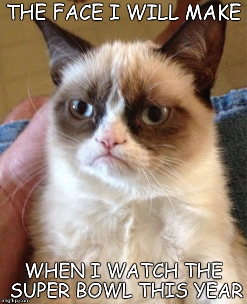 Grumpy Cat Meme | THE FACE I WILL MAKE; WHEN I WATCH THE SUPER BOWL THIS YEAR | image tagged in memes,grumpy cat | made w/ Imgflip meme maker