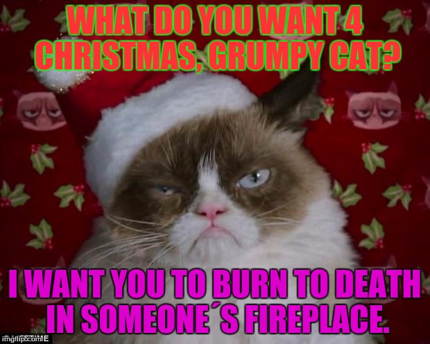 What grumpy cat wants for cristmas | WHAT DO YOU WANT 4 CHRISTMAS, GRUMPY CAT? I WANT YOU TO BURN TO DEATH IN SOMEONE´S FIREPLACE. | image tagged in grumpy cat christmas | made w/ Imgflip meme maker