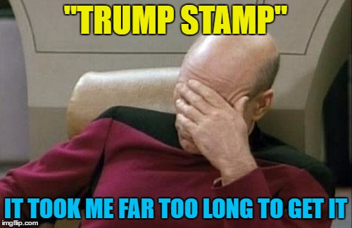 Captain Picard Facepalm Meme | "TRUMP STAMP" IT TOOK ME FAR TOO LONG TO GET IT | image tagged in memes,captain picard facepalm | made w/ Imgflip meme maker