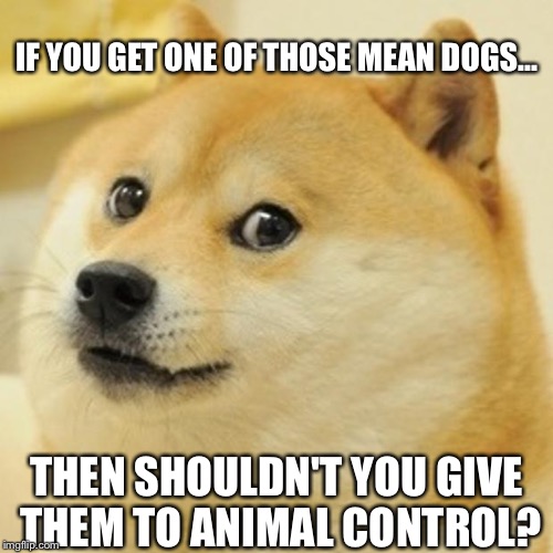 Doge | IF YOU GET ONE OF THOSE MEAN DOGS... THEN SHOULDN'T YOU GIVE THEM TO ANIMAL CONTROL? | image tagged in memes,doge | made w/ Imgflip meme maker