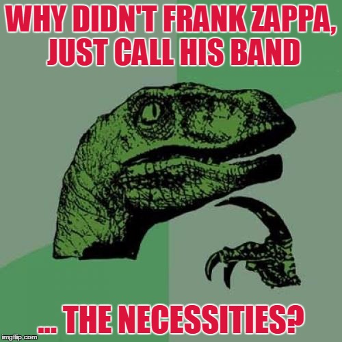 Philosoraptor | WHY DIDN'T FRANK ZAPPA, JUST CALL HIS BAND; ... THE NECESSITIES? | image tagged in memes,philosoraptor | made w/ Imgflip meme maker