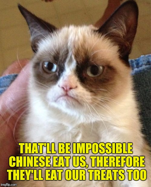 Grumpy Cat Meme | THAT'LL BE IMPOSSIBLE CHINESE EAT US, THEREFORE THEY'LL EAT OUR TREATS TOO | image tagged in memes,grumpy cat | made w/ Imgflip meme maker
