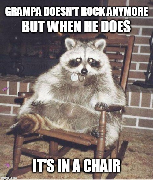 Oh to be young... | GRAMPA DOESN'T ROCK ANYMORE; BUT WHEN HE DOES; IT'S IN A CHAIR | image tagged in racoon,rock and roll,music | made w/ Imgflip meme maker
