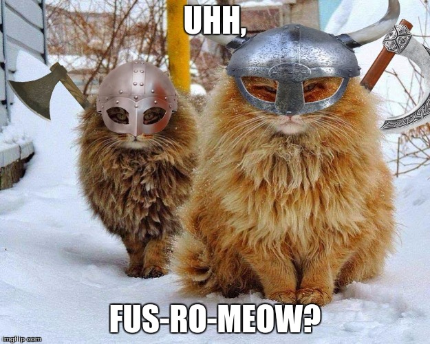 Viking Cats | UHH, FUS-RO-MEOW? | image tagged in viking cats | made w/ Imgflip meme maker