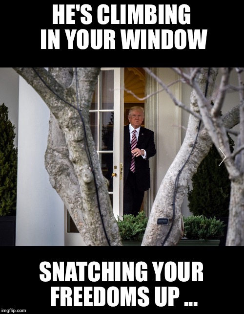 HE'S CLIMBING IN YOUR WINDOW; SNATCHING YOUR FREEDOMS UP ... | image tagged in potus,trump,drumpf | made w/ Imgflip meme maker