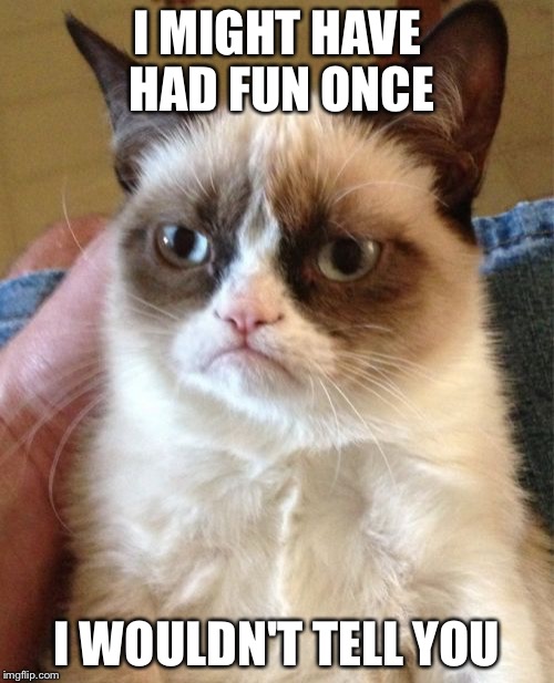 Grumpy Cat | I MIGHT HAVE HAD FUN ONCE; I WOULDN'T TELL YOU | image tagged in memes,grumpy cat | made w/ Imgflip meme maker