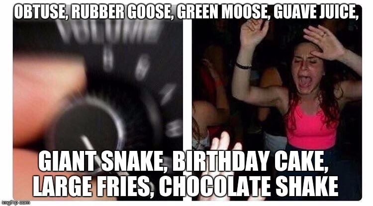 Turn up | OBTUSE, RUBBER GOOSE, GREEN MOOSE, GUAVE JUICE, GIANT SNAKE, BIRTHDAY CAKE, LARGE FRIES, CHOCOLATE SHAKE | image tagged in turn up | made w/ Imgflip meme maker