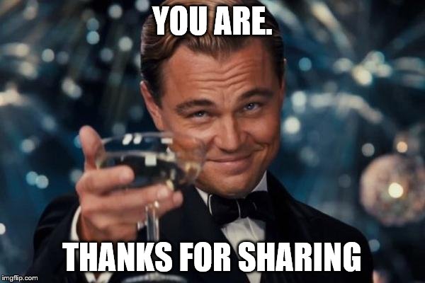 Leonardo Dicaprio Cheers Meme | YOU ARE. THANKS FOR SHARING | image tagged in memes,leonardo dicaprio cheers | made w/ Imgflip meme maker
