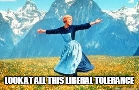 You keep using that word, I do not think it means what you think it means. | LOOK AT ALL THIS LIBERAL TOLERANCE | image tagged in memes,look at all these,liberals,tolerance,politics | made w/ Imgflip meme maker