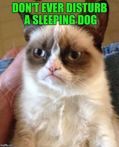 Grumpy Cat Meme | DON'T EVER DISTURB A SLEEPING DOG | image tagged in memes,grumpy cat | made w/ Imgflip meme maker