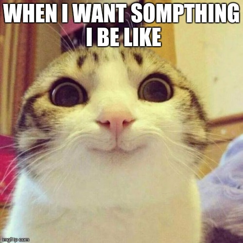 Smiling Cat | WHEN I WANT SOMPTHING I BE LIKE | image tagged in memes,smiling cat | made w/ Imgflip meme maker