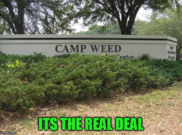 ITS THE REAL DEAL | made w/ Imgflip meme maker