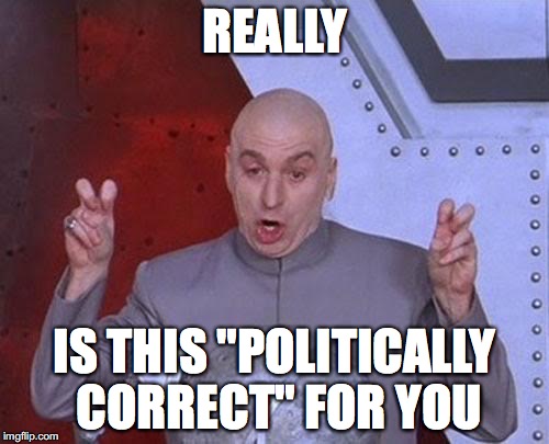 Dr Evil Laser Meme | REALLY; IS THIS "POLITICALLY CORRECT" FOR YOU | image tagged in memes,dr evil laser | made w/ Imgflip meme maker