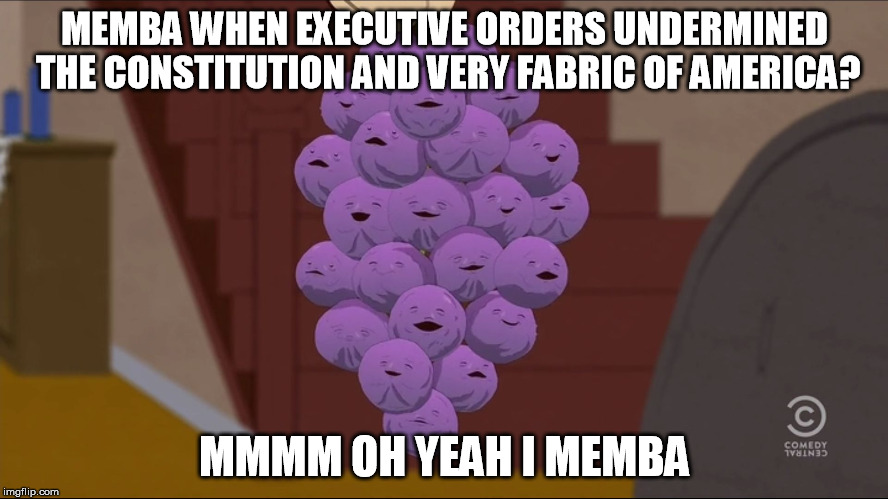 Member Berries | MEMBA WHEN EXECUTIVE ORDERS UNDERMINED THE CONSTITUTION AND VERY FABRIC OF AMERICA? MMMM OH YEAH I MEMBA | image tagged in memes,member berries,AdviceAnimals | made w/ Imgflip meme maker