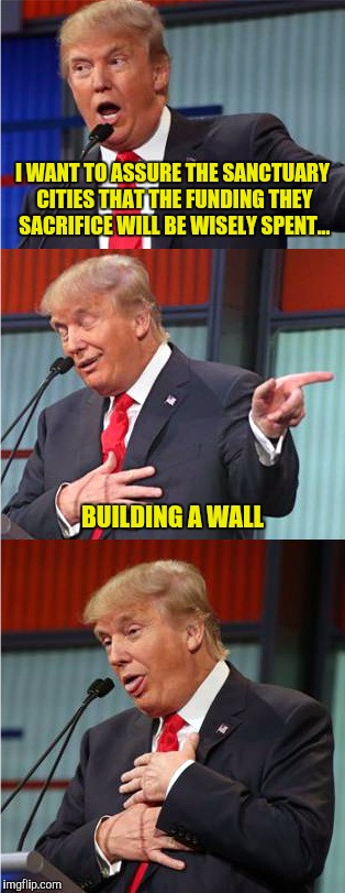 Couldn't do it without you  | I WANT TO ASSURE THE SANCTUARY CITIES THAT THE FUNDING THEY SACRIFICE WILL BE WISELY SPENT... BUILDING A WALL | image tagged in bad pun trump,wall,sanctuary cities,federal funding | made w/ Imgflip meme maker