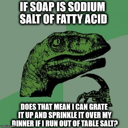Philosoraptor Meme | IF SOAP IS SODIUM SALT OF FATTY ACID; DOES THAT MEAN I CAN GRATE IT UP AND SPRINKLE IT OVER MY DINNER IF I RUN OUT OF TABLE SALT? | image tagged in memes,philosoraptor | made w/ Imgflip meme maker