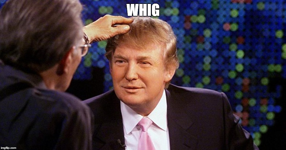 WHIG | image tagged in trump hair | made w/ Imgflip meme maker