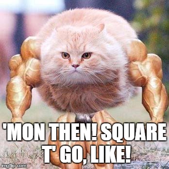 Hench Kitty Wants 'Some' | 'MON THEN! SQUARE T' GO, LIKE! | image tagged in come at me bro,come at me bruh | made w/ Imgflip meme maker