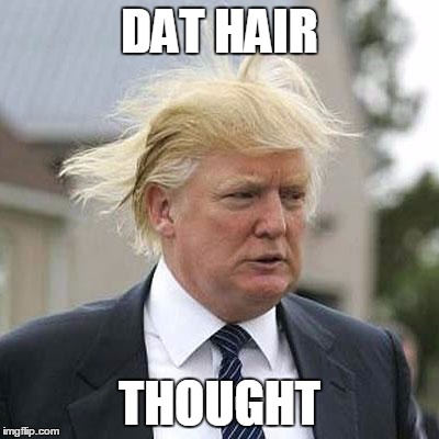 Donald Trump | DAT HAIR; THOUGHT | image tagged in donald trump | made w/ Imgflip meme maker