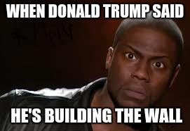 Kevin Hart Meme | WHEN DONALD TRUMP SAID; HE'S BUILDING THE WALL | image tagged in memes,kevin hart the hell | made w/ Imgflip meme maker