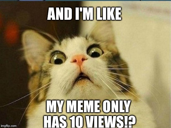 Meme cat | AND I'M LIKE; MY MEME ONLY HAS 10 VIEWS!? | image tagged in memes | made w/ Imgflip meme maker